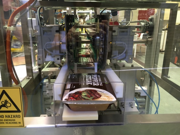 wrap around food cartoning machine